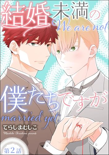 結婚未満の僕たちですが（分冊版） 【第2話】 (amuse)