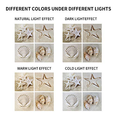 Coastal Serene Canvas Wall Art: Shells On Beach Sand Giclee Print Painting For Wall Decor For Spa Room (12''X12''X4Pcs) #TOP1