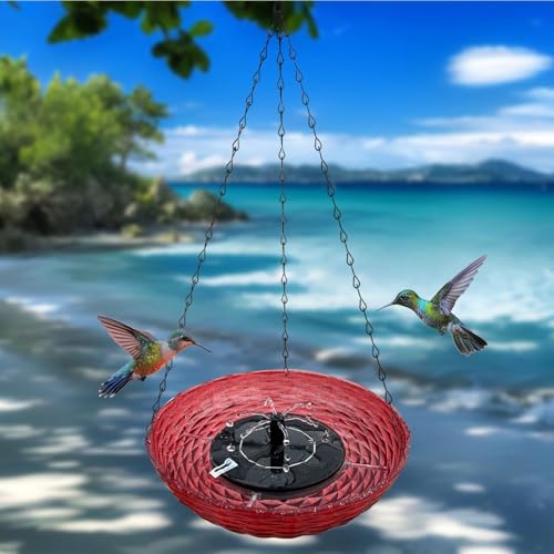 Bain d'oiseaux extérieur pour attirer les colibris et hydrater la faune en été