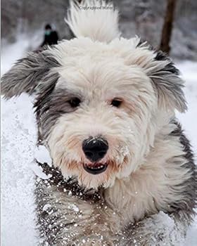 Old English Sheepdog Notebook : College Ruled Writer's Notebook for School, the Office, or Home! (8 X 10 Inches, 120 Pages)