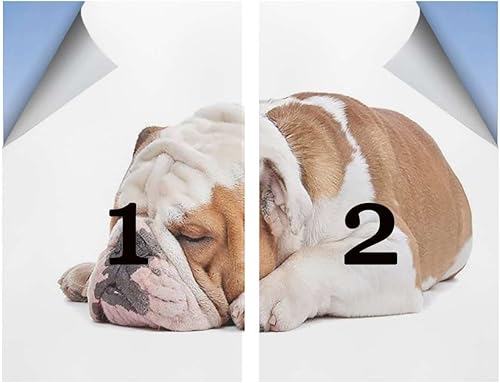 Miniatura 5 de Película de privacidad para ventana, color marrón crema, esmerilado, calcomanías no adhesivas, estáticas para puertas de baño, bloqueo solar UV,