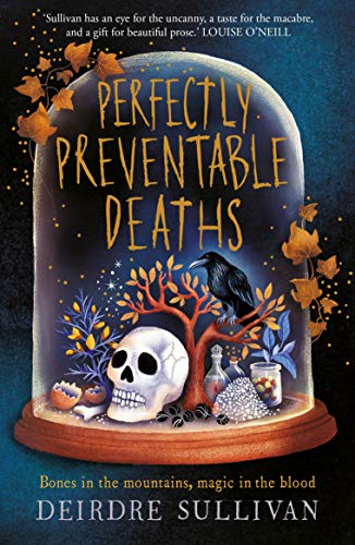 Télécharger Perfectly Preventable Deaths (English Edition) PDF