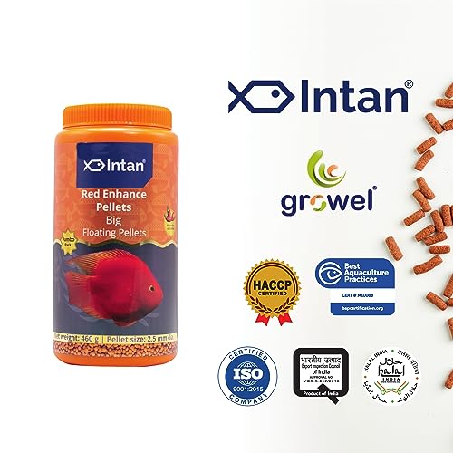 Image of Intan Red Enhance Pellets (Big 2.5mm Floating) | 460gm - Highly Nutritious Ornamental Fish Food for Parrotfish & Red Coloured Fish | Growel Feeds