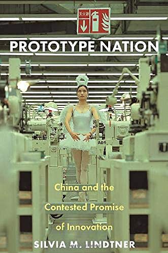 Prototype Nation: China and the Contested Promise of Innovation (Princeton Studies in Culture and Technology Book 15)