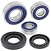 New All Balls Racing Wheel Bearing Kit 25-1731 Compatible with/Replacement for KTM 390 Duke 2015 2016, 390 RC 2015