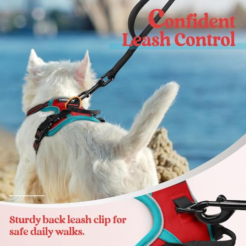 Image of rabbitgoo Dog Harness No Pull with 2 Leash Clips, Adjustable Soft Padded, Reflective Oxford No Choke Pet Vest with Easy Control Handle for Puppy, Red & Teal, XS