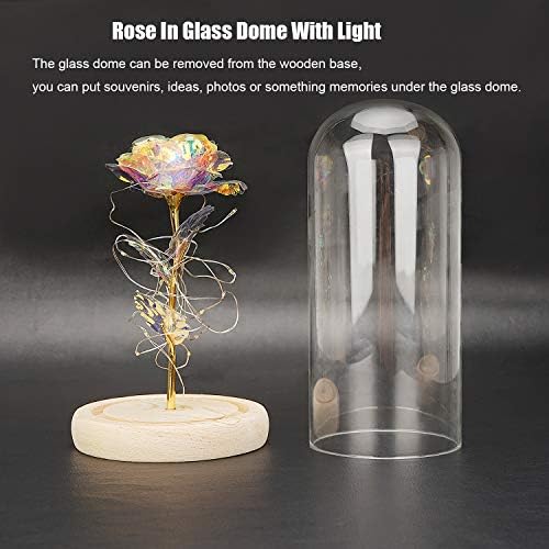 TINYOUTH Light Up Rose In Glass Dome, 24K Galaxy Rose with 20 LEDS String Light, Batteries Included Beauty and the Beast Rose Gifts for Women/Her/Mum Wedding Anniversary Valentines Birthday Xmas