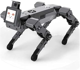 RWRAPS Quadruped robot dog data collection