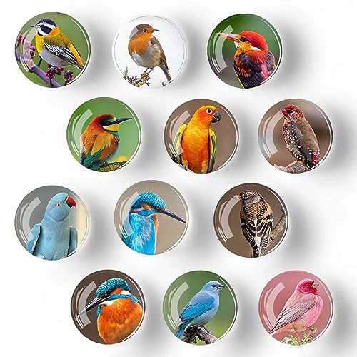 12Pcs Glass Refrigerator Magnets - Fridge Magnets Decoration for Classroom, Locker, Office Whiteboards, Cabinet, Dishwasher and Magnetic Surfaces (Bird Lifelike)