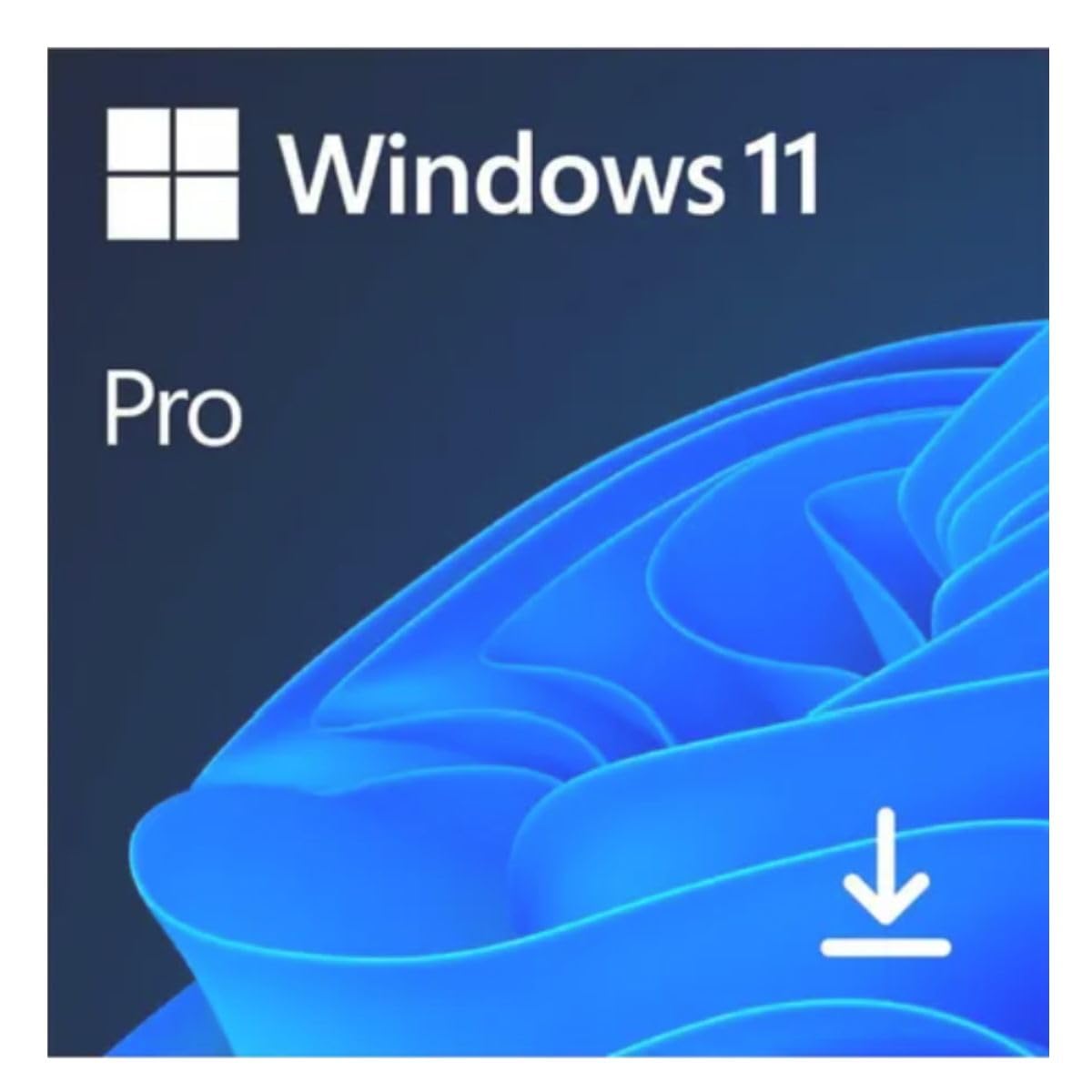 Amazon.com: Microsoft Windows 11 Pro, 32/64 Bit, Lifetime Key