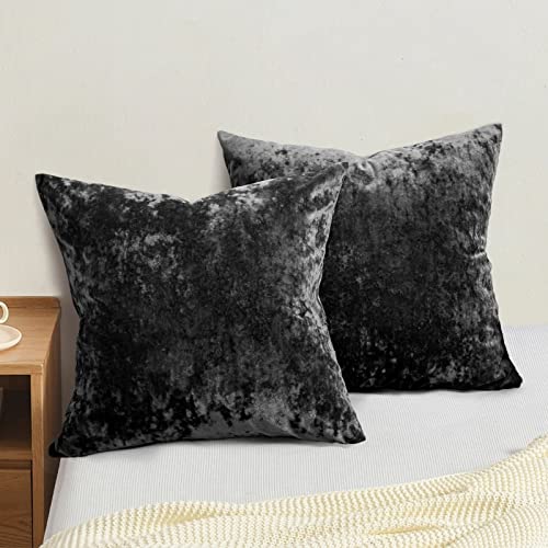 Phf Truly Velvet Throw Pillow Covers, 24"X24", No Insert, 2 Pack Color Gradient Cushion Covers, Ultra Soft Cozy Square Covers Shell For Luxurious Home Decorative, No Shedding, No Pilling, Black #TOP6