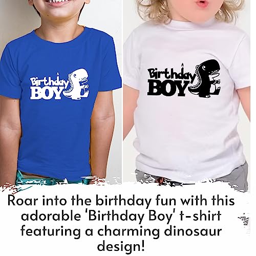 Birthday Boy Dinosaur Shirts 2T to 5T Years Old Cute Toddler Boys Soft Cotton Top Tees2