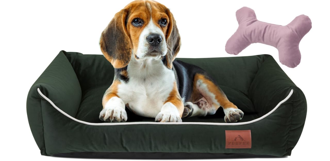 FUUFEE Lux Dog Bed | 60x40 cm | Cozy Sofa for Small Dogs | Comfortable and Washable | with Removable Cover | Perfect for Your Pet's Rest and Relaxation | Deep Green