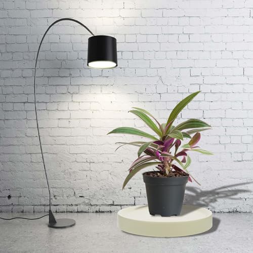 Plateau à plantes roulant plastique robuste support pot fleur - 6