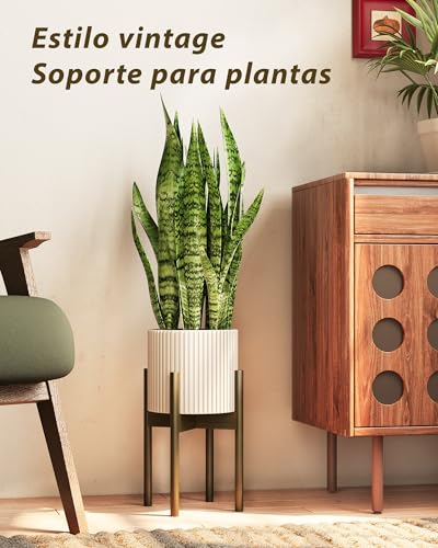 Plant stand Bamworld para decorar salones con plantas de interior naturales 3