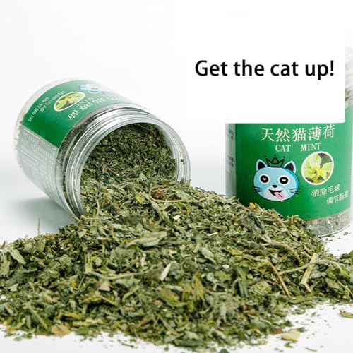 Katzenminze für Katzen, Katzenminzenstäbchen für Kätzchen, Nips für organische Katzen, natürlich, zur Energie und Erregung von Katzen, Training für Katzen mit 20 g und neues Bio-Spielzeug