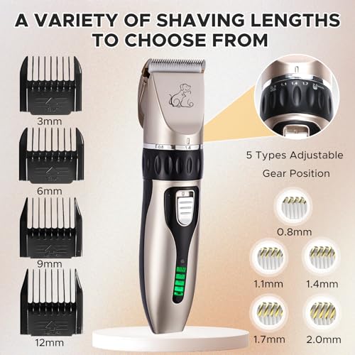 Anluomania Hundeschermaschine, Haarschneidemaschine für Hunde, Tierhaarschneidemaschine, Tierhaarschneider, Leiser Wiederaufladbarer, Kabelloser, mit 4 Führungskamm, für Hunde Katzen Alle Felltypen