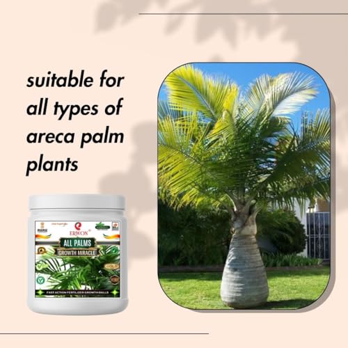 Image of Erwon All Palms GROWTH MIRACLE Fertilizer, Fast Action Organic Granules for rapid Overall Healthy Growth of all palms Plants. (900 gm)