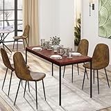 FurnitureR Starker Ausstellungstisch 120x70x75cm | 3,8cm MDF | Metallgestell | Präsentationstisch | Verkaufstisch | Messetisch