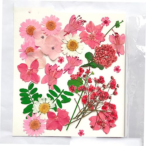 Kit artesanal 30 piezas flores secas prensadas miniatura 7
