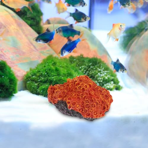 Image of Balacoo Aquarium Coral Reef Ornament 5.11 x 3.93 x 2.75In | Resin landscape, Fresh and saltwater tanks, Aquarium setup