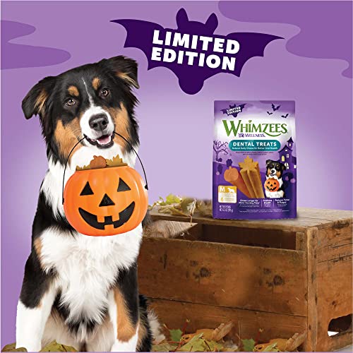 Wellness WHIMZEES Fall Natural Dog Dental Treat, Autumn Halloween Seasonal Gift, Chews, Freshens Breath, Medium Size, 6.3 oz Bag, 6 Count — view 6