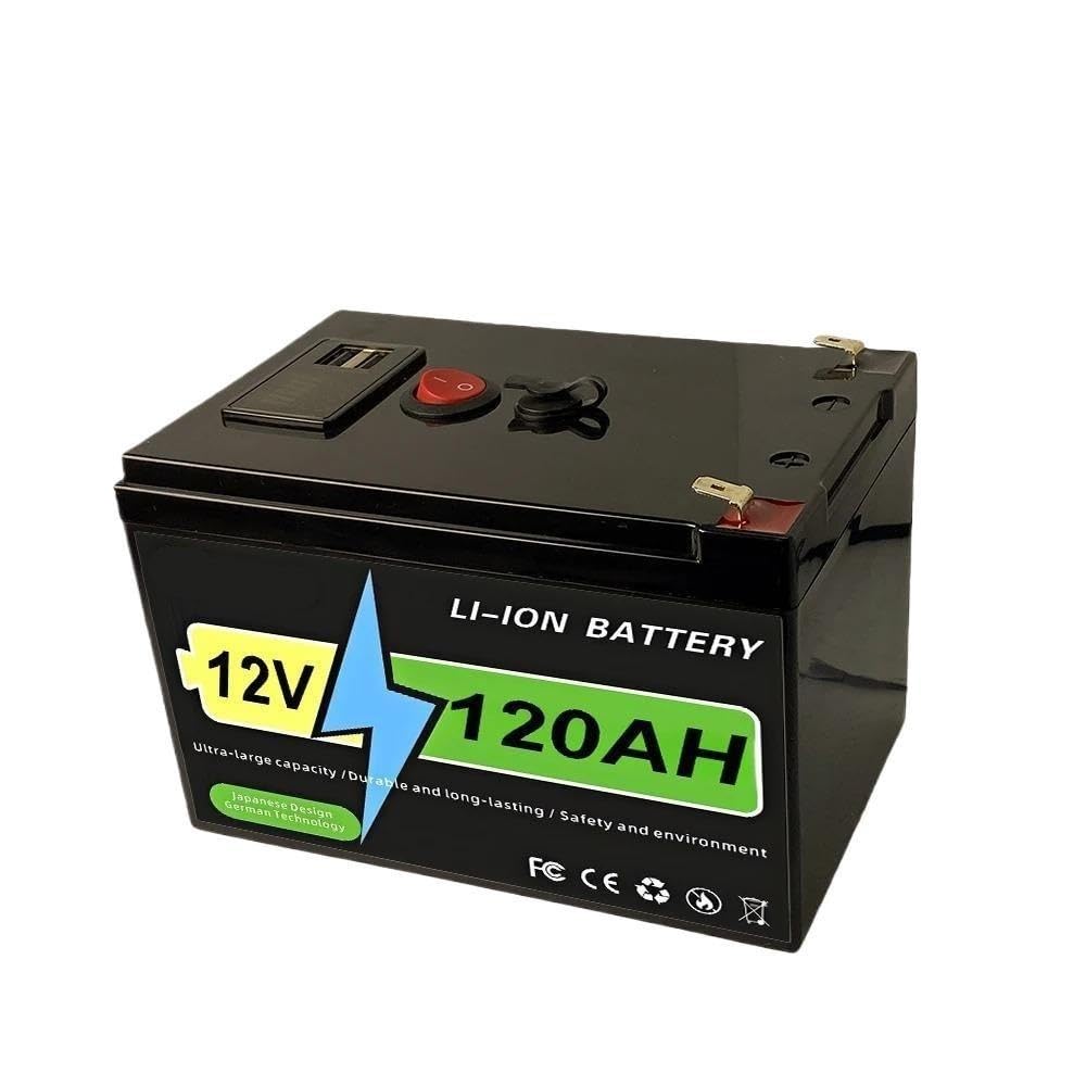 Batteria LiFePO4 da 12 V 100 Ah Capacità BMS integrata da 100 A(120Ah Battery x1)