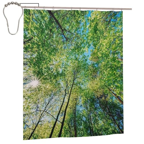 SEACINDL Forest Spring Summer Sun Shining Through Canopy of Tall