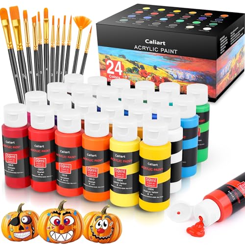 Acrylic Paint Set for Teens: 24 Colors with Brushes, Easter Gift for Artists, Canvas Painting Kit.