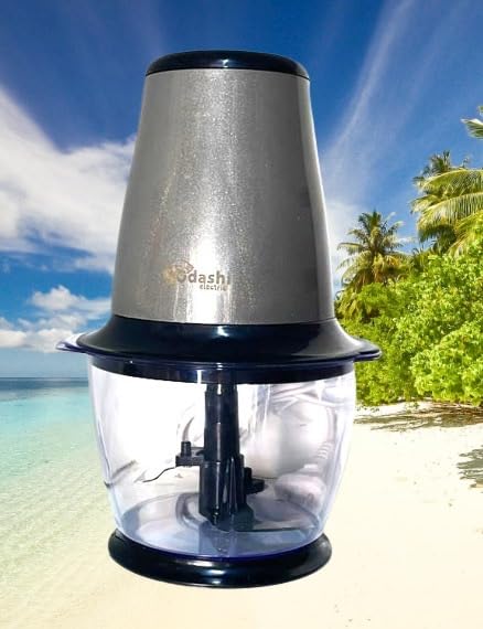 SSD-Big Chopper 300 w||Copper Motor