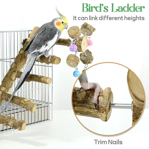 BRSLAIF Natural Wood Bird Parrot Ladder Perch, Bird Chewing Toys, Bird Cage Accessories, with Rotating Bell Toys, for Parrots Parakeets Cockatiels Conures Budgies - Thumbnail 3