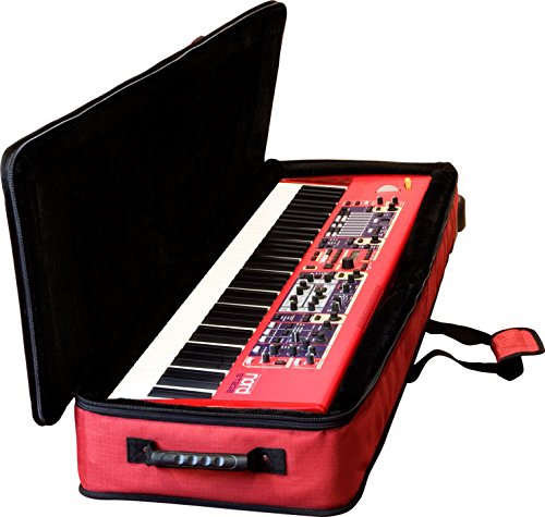 Amazon.com: Nord Electro 6 HP 73-Note Hammer Action Stage