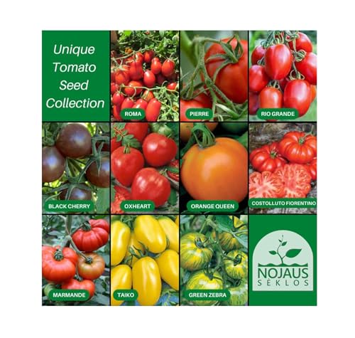 Nojus - Juego de semillas de tomate - 10 variedades - Varias semillas de tomate Kit de inicio - 10 paquetes - Semillas de jardín - Semillas Caja de verduras 10 variedades