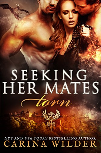 Torn: A Dragon Shifter BBW Serial (Seeking Her Mates Book 1)