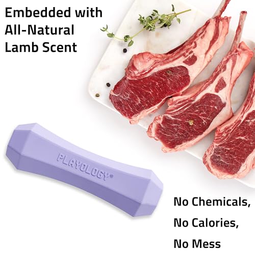 Playology Squeaky Chew Stick - Scented Dog Toy - Medium, Lamb Scent | Rubber Construction, All Natural Scent, Durable Design - Image 5