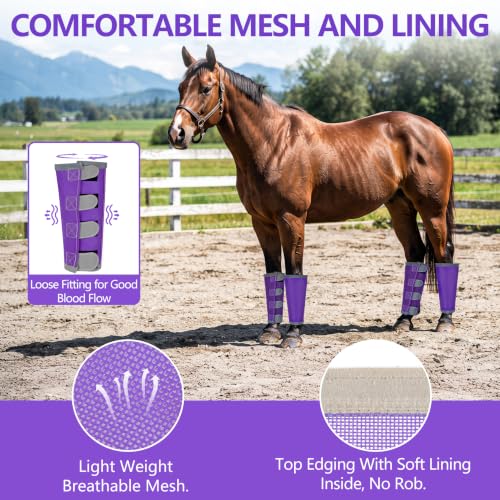Image of Fly Boots for Horses Set of 4 with Reflective Vercros, Loose Fitting Mesh Horse Fly Boots Leggings, Adjustable Equine Leg Wraps & Socks, Stay Up Not Sag, No Rub