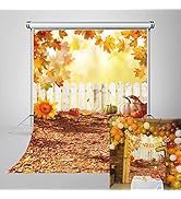 Toile De Fond Pour Photographie Happy Birthday Party Bannière Cartoon