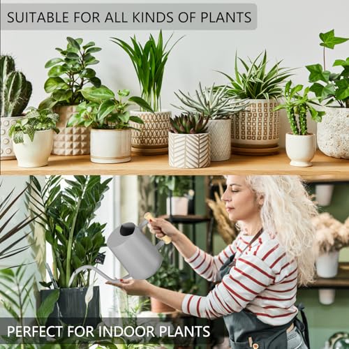 Image of Watering Can Indoor Plants, 35oz Small Indoor Stainless Steel Metal Watering Can Modern Decorative Watering Pot with Long Spout for Indoor House Plant Bonsai Garden Flowers (Gray)