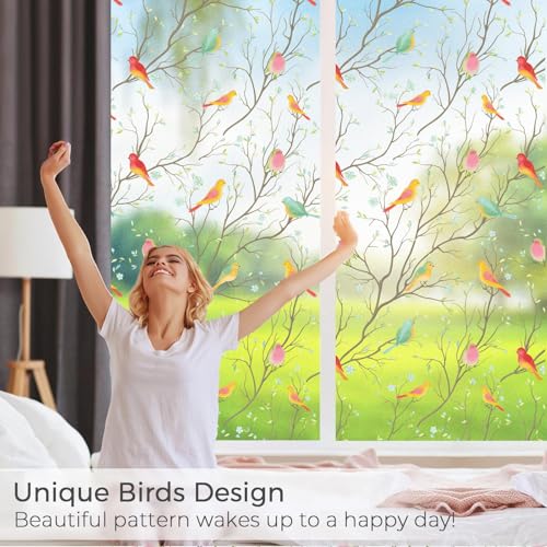 Image of WOO Home Frosted Glass Window Film & Stickers (12 X 84 Inchs) Privacy Window Cover for Home & Office - Easy Apply, UV Protection, Removable Decorative Film (Multi Colour Bird 1 X 7 SQFT)