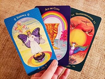 Spiral-bound The Wise Woman's Tarot Book