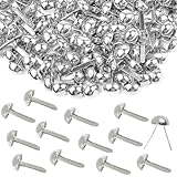 300 Pcs Brass Fasteners (0.32x0.6 Inch) Silvery brads for Paper Crafts,Brass Brads...