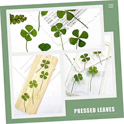 24pcs Trébol de Cuatro Hojas Seco para Manualidades miniatura 6