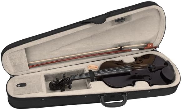 4/4 Full Size Violin,Acoustic Violin Set with Case, Bow, Rosin for Beginners, Adults (Black)