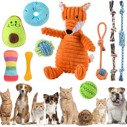 AMFUN 11 Stück Hundespielzeug Set, Hundespielzeug Kleine Hunde, Plüsch Hundespielzeug Mit Quietscher, Quietschend Kauspielzeug für Kleine Mittlere Hunde, Plüschspielzeug für Welpen
