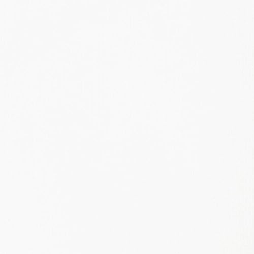 Miniatura 2 de Liquitex BASICS Pintura Acrílica, Botella de 400ml (13.5 oz), Blanco Titanio