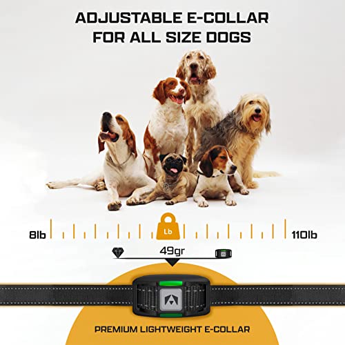 Invirox Shock Collar For Large Dog [2024 Edition] 123 Levels Dog Training Collar With Remote 1100Yd Range, Dog Shock Collar For Medium Dogs 100% Waterproof & Rechargeable Training Collar For Dogs #TOP5