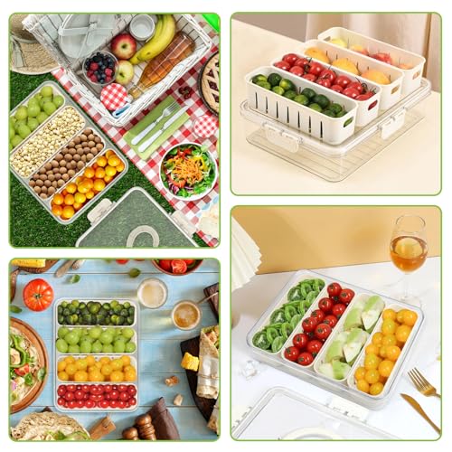 Snackbox mit 4 Fächern,Snackschale mit Deckel und Griff, Tragbar Snackbox Organizer,für Party,Picknick ,Trip,für Süßigkeiten Obst Keksen Dessert Gemüse Nüsse,Snackteller aus PP Spülmaschinenfest