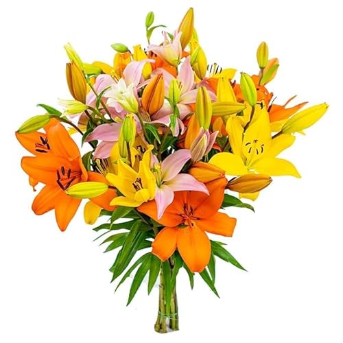 Stargazer Barn Autumn Sunrise Bouquet Royal Lilies Fresh Flowers Bouquet