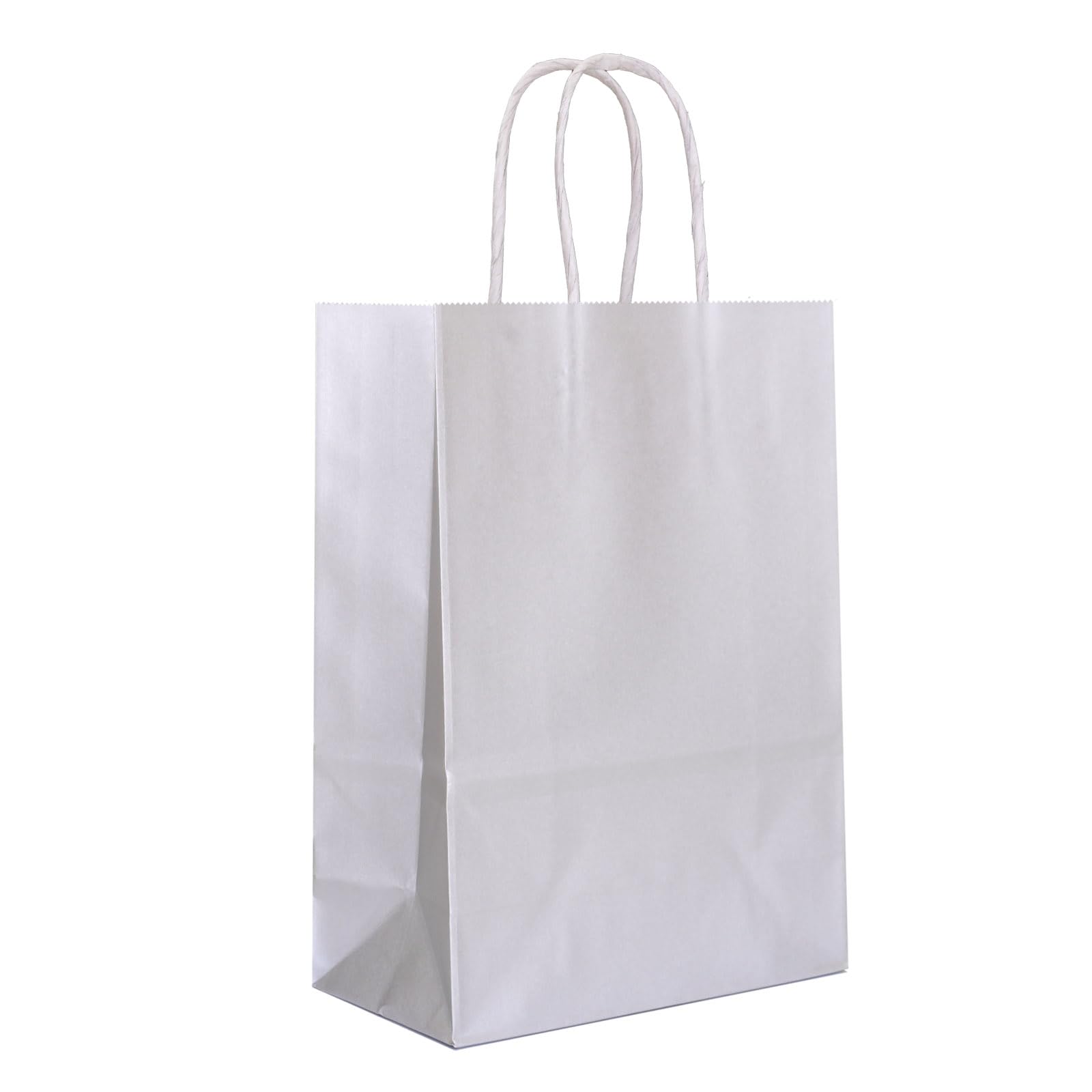 IN-JOOYAA 30 Pcs Silver Gift Bags Small Kraft Paper Gift Bags with Handles (6.3 x 3.1 x 8.6 in, Silver)