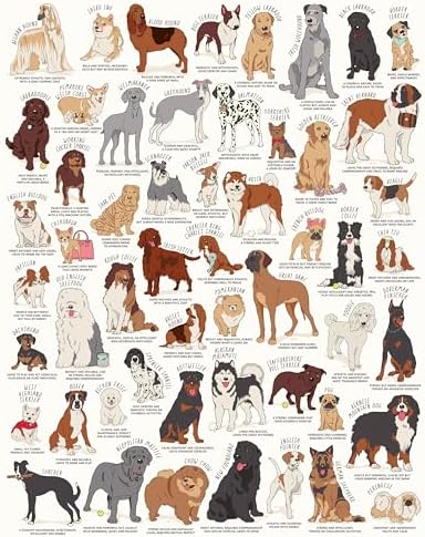 Ridley's Dog Lover's 1,000-Piece Jigsaw Puzzle – Dog Puzzle with ...